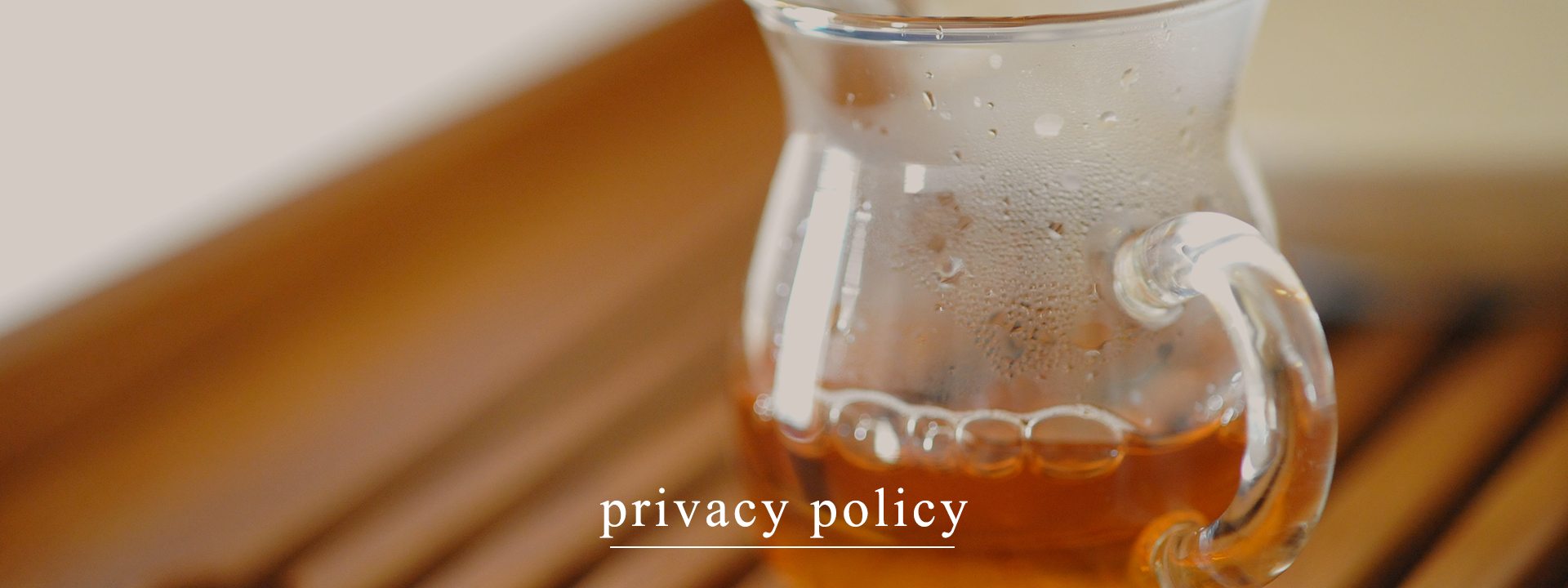 プライバシーポリシー